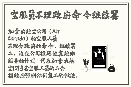 脱色摇床93s蘑菇视频